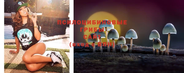 дмт Верея