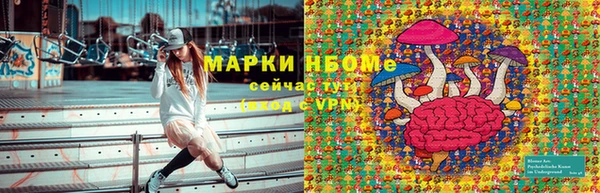 дмт Верея