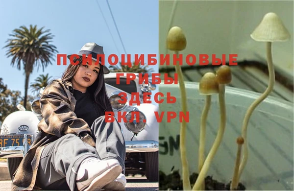 дмт Верея