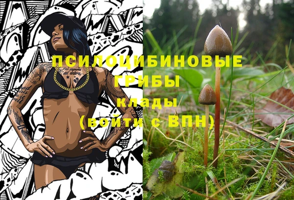 спиды Новозыбков